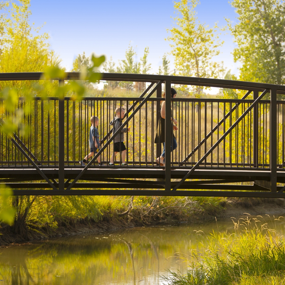 A photo the winding path that weaves through Chapungu Sculpture Park