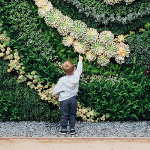 A little boy takes a moment to admire the blossoming flower bed along a walking trail