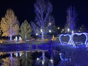 A photo of the Centerra Holiday Light Program event to honor healthcare heros