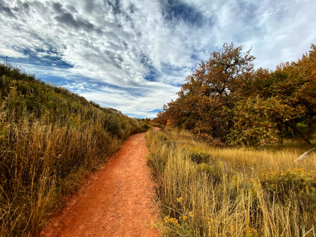 A walking trail engulfed in the natural landscape surrounding it