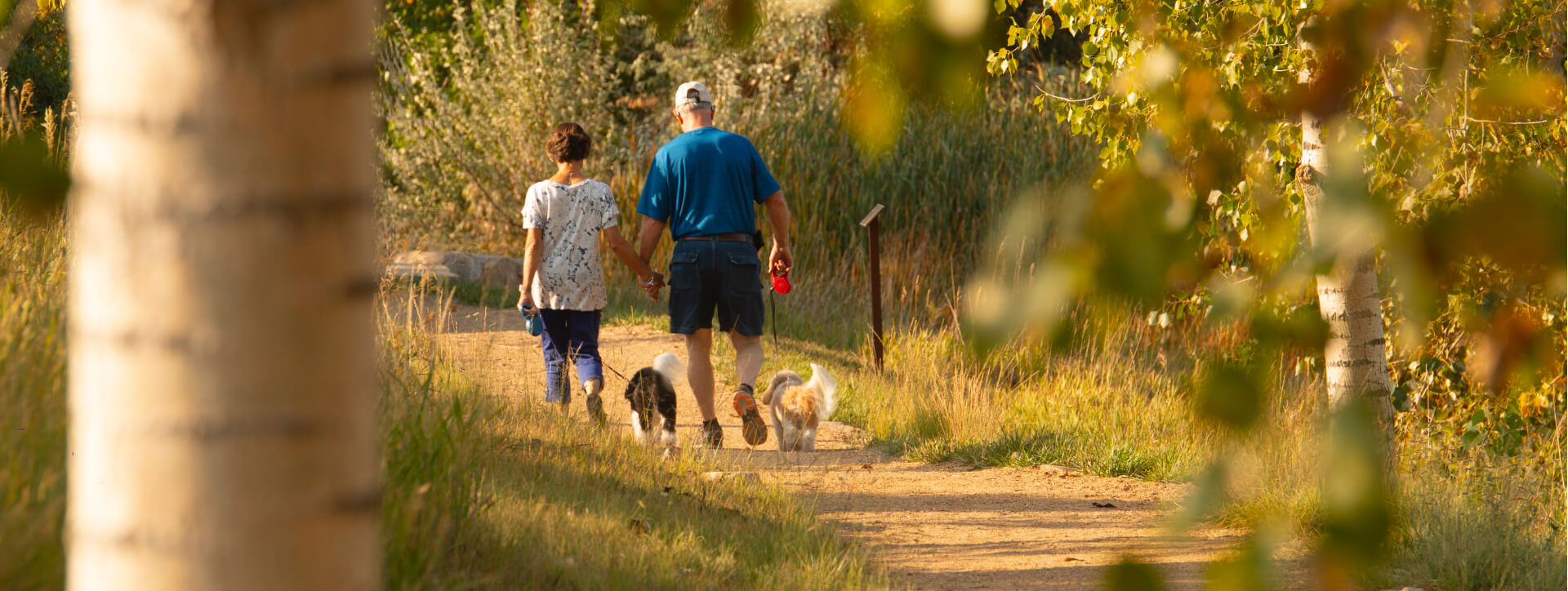 A couple enjoy the cool morning air, walking with their dogs on a trail through Kinston