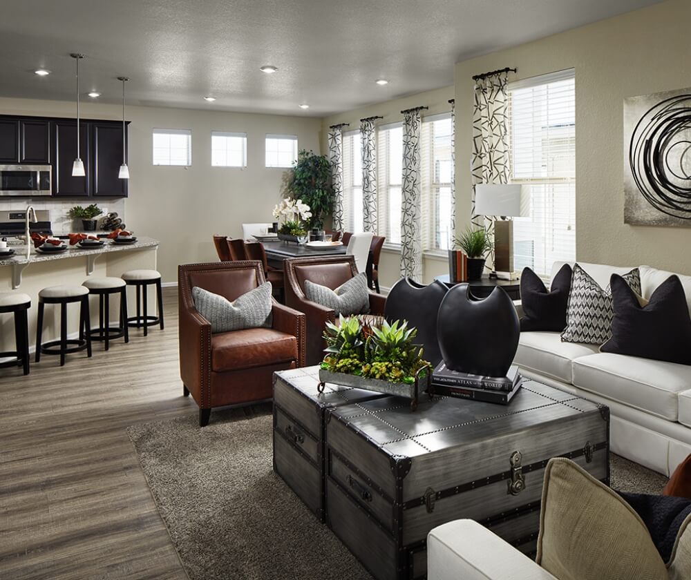 A living room with couches and a coffee table.