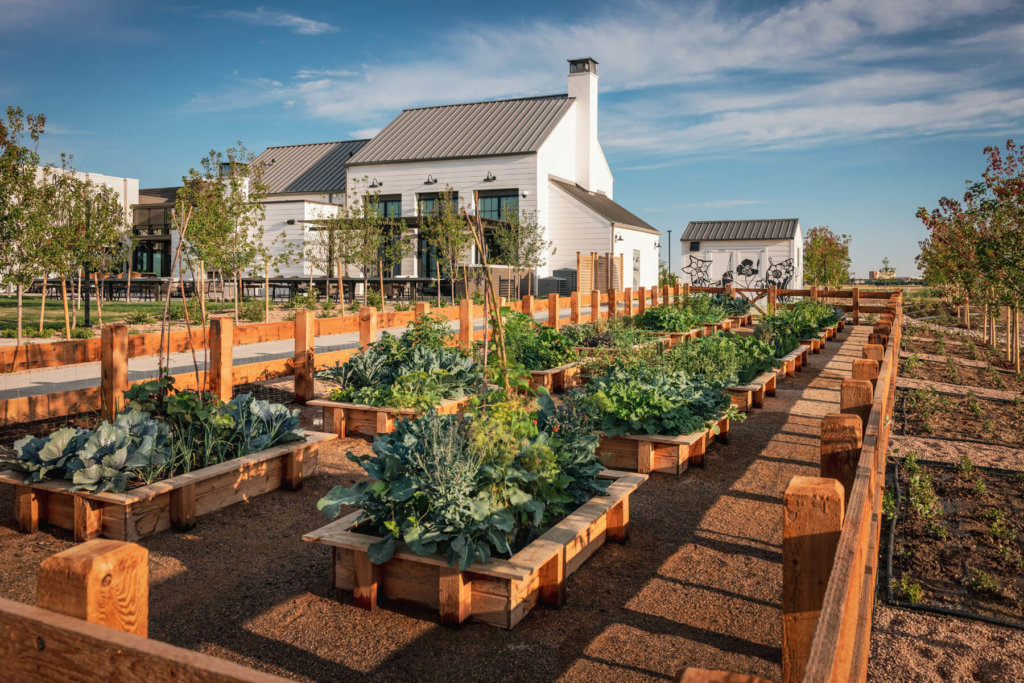 Garden outside of the Kinston Hub