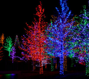 Two white mugs filled with hot chocolate and marshmallows, with colorful holiday lights blurred in the background, create a cozy holiday scene that feels right at home in the heart of Centerra's master-planned community.