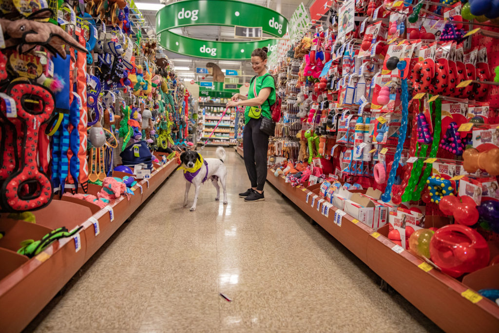 Image of a dog in an aisle at PetSmart