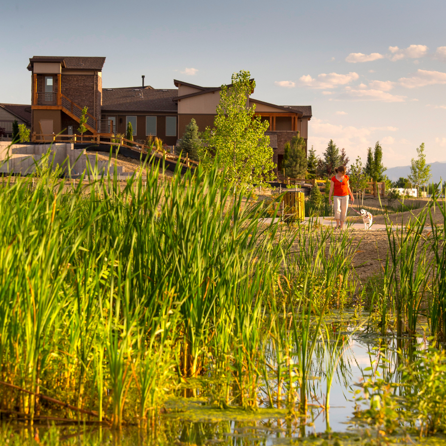 Image of a pond with a home in the background