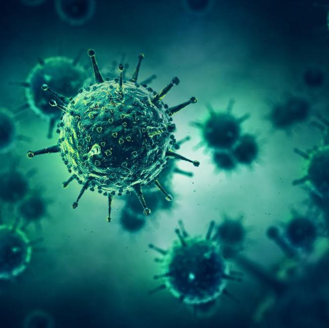 Illustration of a virus cell