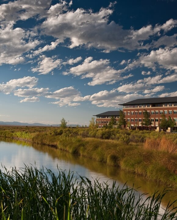 Image of pond with an office building in the background