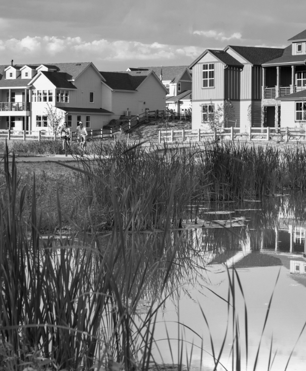 Black and white image of a pond with homes in the background