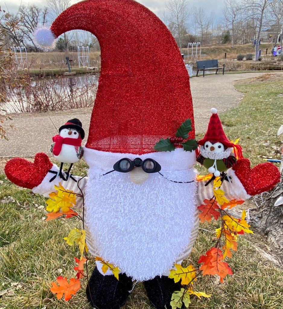 Chapungu Gnome