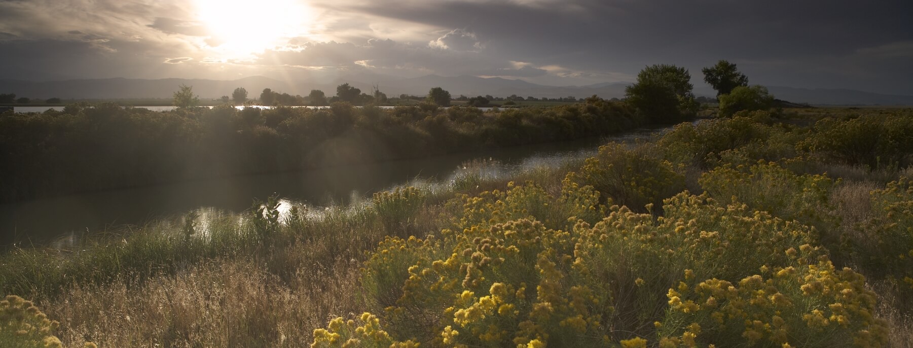 high plains canal wetlands