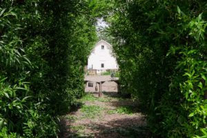 Barn with Foliage