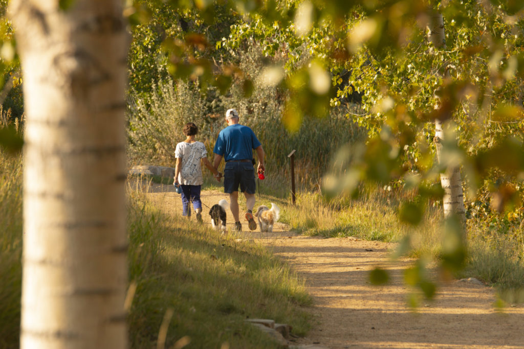 Two people walking away from camera with dog