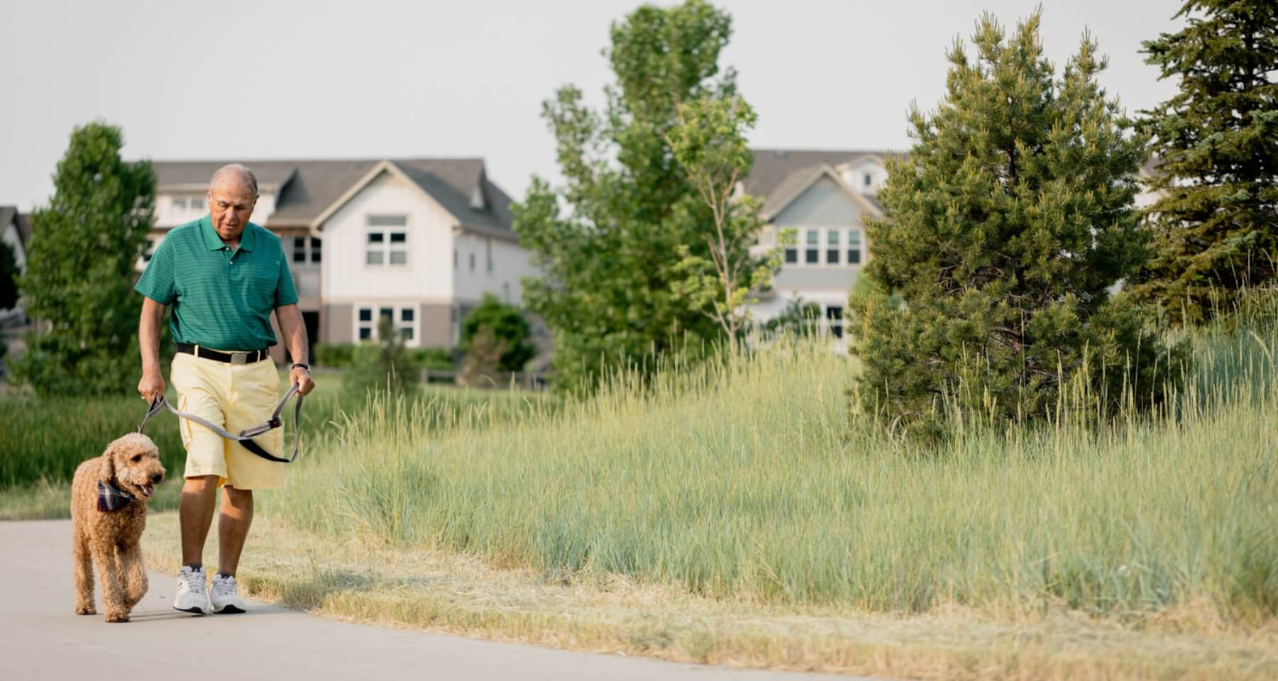 An older man walking his dog on a path in Loveland.