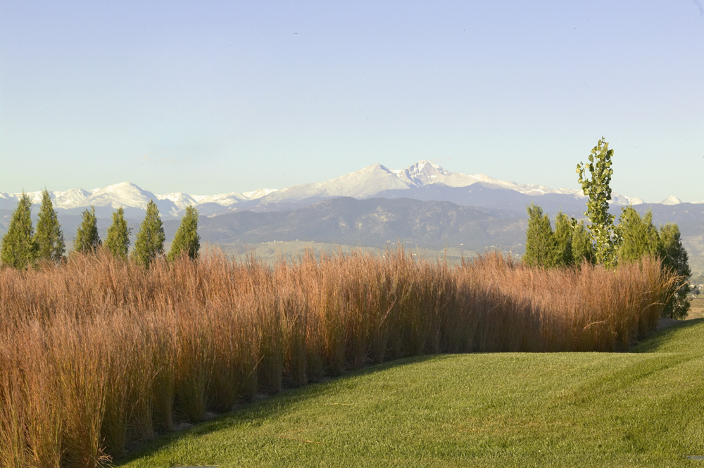 Centerra Landscape