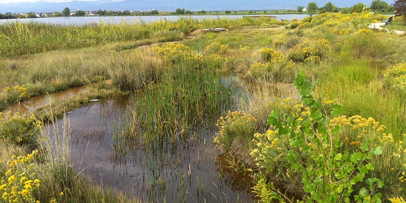 natural open space