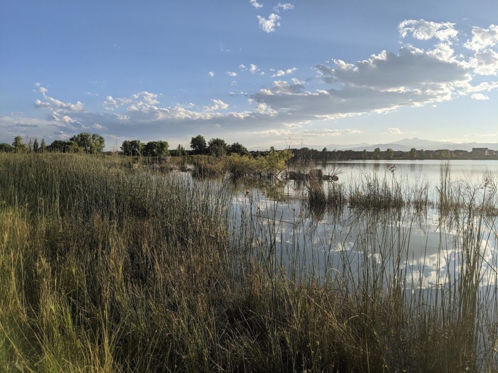 trail near water