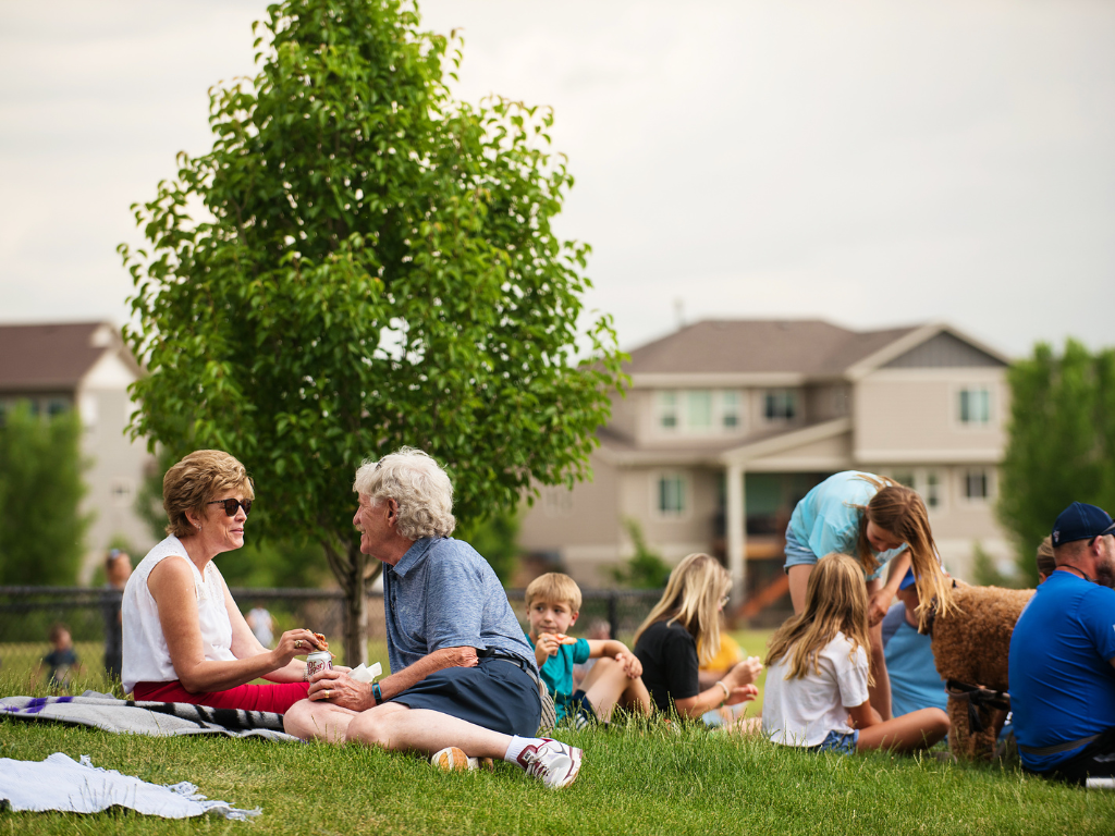 picnic in a park