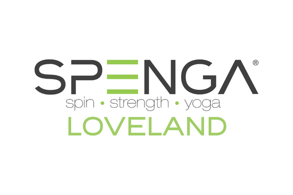 spenga logo