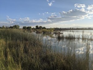 interpretive trail walk picture