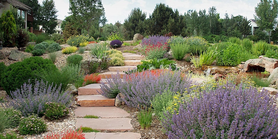 waterwise garden in Colorado