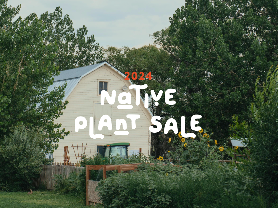 2024 native plant sale in Loveland, CO