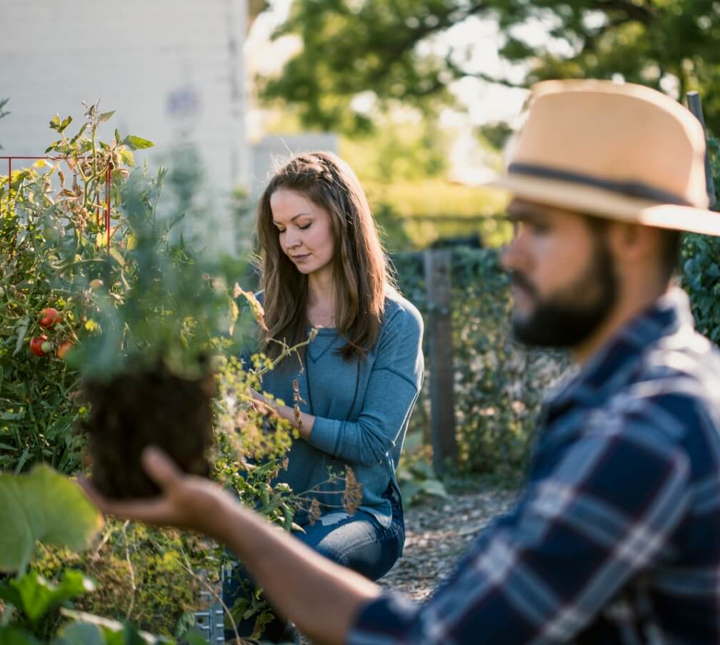 A woman in a blue shirt tends to plants while sitting in a garden. In the foreground, a man in a hat and plaid shirt holds up a plant. Trees and greenery span the background, painting a picturesque scene reminiscent of the peaceful gardens found in Loveland, Colorado's new homes at Centerra.