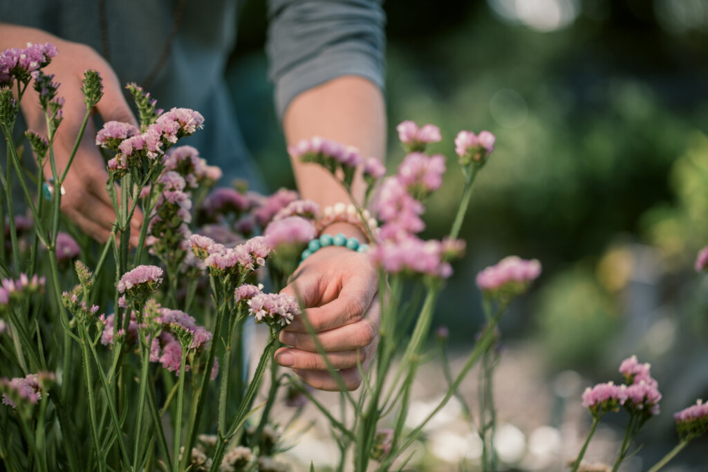 A person wearing a gray long-sleeve shirt and a beaded bracelet is tending to pink flowers in a garden.