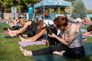 A group of people practice outdoor yoga on mats in Centerra, Loveland Colorado, while a woman interacts with a goat beside her—embracing wellness and community near beautiful new homes.