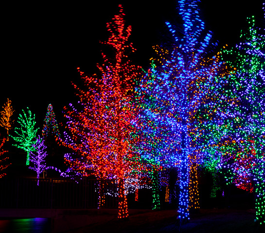 Two white mugs filled with hot chocolate and marshmallows, with colorful holiday lights blurred in the background, create a cozy holiday scene that feels right at home in the heart of Centerra's master-planned community.