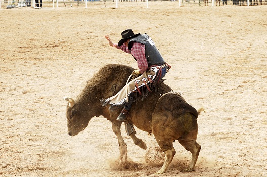  Extreme Rodeo Challenge - Homes for sale Loveland