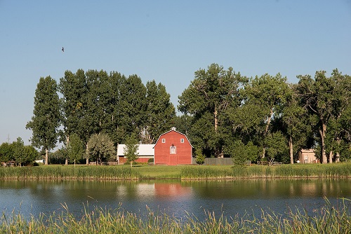 osborne-farm-pumpkin-patch-farmers-market